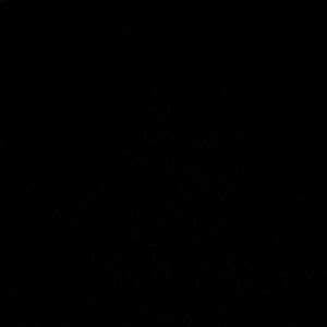 Meet your Posher, Elena